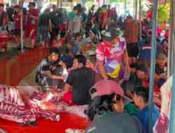 Yayasan Masjid Subulussalam Sidoarjo Salurkan 16 Sapi dan 6 Kambing Qurban ke Berbagai Wilayah di Jawa Timur