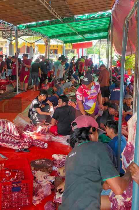 Yayasan Masjid Subulussalam Sidoarjo Salurkan 16 Sapi dan 6 Kambing Qurban ke Berbagai Wilayah di Jawa Timur Yayasan Masjid Subulussalam Sidoarjo Salurkan 16 Sapi dan 6 Kambing Qurban