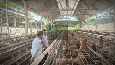 Wabup Blitar: Peternakan Ayam Harus Stabil, Harga dan Pakan Terkendali BeautyPlus 20250709132515475 save
