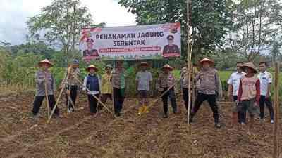 Kapolsek Purworejo AKP Bruyi Rohman Warsito S.H. M.H. bersama Pemerintah Desa Wonoroto Kecamatan Purworejo Kabupaten Purworejo Menanam Jagung untuk Ketahanan Pangan