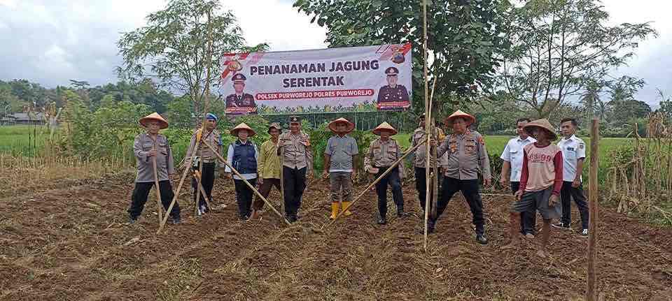 Kapolsek Purworejo AKP Bruyi Rohman Warsito S.H. M.H. bersama Pemerintah Desa Wonoroto Kecamatan Purworejo Kabupaten Purworejo Menanam Jagung untuk Ketahanan Pangan