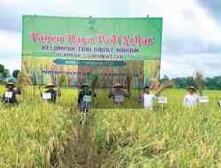 Kelurahan Klampok Masuk 5 Besar Nasional Penilaian Pangan Aman, Jadi Contoh Program Berkelanjutan Kelurahan Klampok Masuk 5 Besar Nasional Penilaian Pangan Aman, Jadi Contoh Program Berkelanjutan