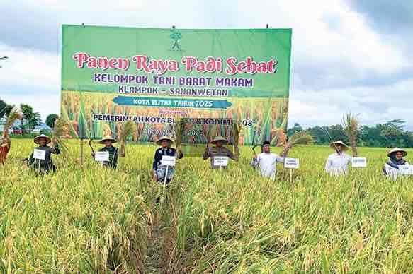 Kelurahan Klampok Masuk 5 Besar Nasional Penilaian Pangan Aman, Jadi Contoh Program Berkelanjutan Panen Raya di Kelurahan Klampok Kota Blitar