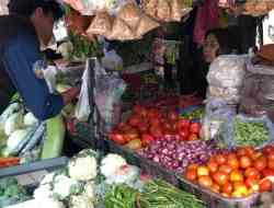 Harga Bawang Merah Capai Rp52 Ribu Per Kilogram, karena Biaya Transportasi dan Stok Menipis Harga Bawang Merah Capai Rp52 Ribu Per Kilogram, karena Biaya Transportasi dan Stok Menipis