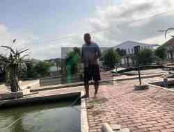 Ada Bibit Ikan Berkualitas di UPT Perikanan Kota Blitar, Silahkan Bayar Lewat QRIS