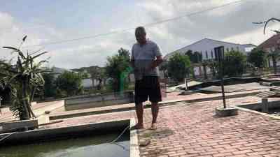 Pemberian Pakan Ikan di UPT Kota Blitar