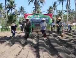 Polres Purworejo Tanam Jagung di Lahan 5.000 Meter Persegi, Targetkan Swasembada Pangan Polres Purworejo Tanam Jagung di Lahan 5.000 Meter Persegi, Targetkan Swasembada Pangan