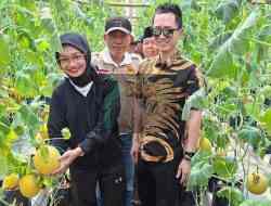 Kontribusi LDII Wujudkan Ketahan Pangan Nasional Latih Para Santri Tanam Melon Hidroponik Substrat Kontribusi LDII Wujudkan Ketahan Pangan Nasional Latih Para Santri Tanam Melon Hidroponik Substrat