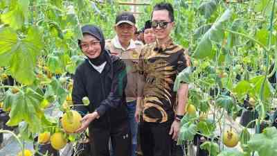 Kontribusi LDII Wujudkan Ketahan Pangan Nasional Latih Para Santri Tanam Melon Hidroponik Substrat