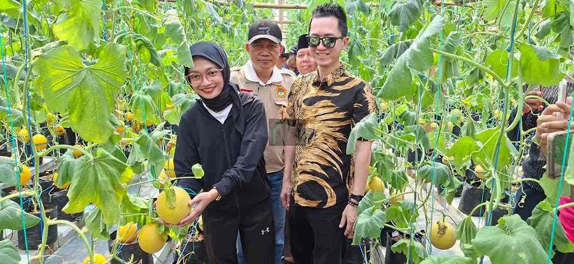 Wali Kota Kediri Vinanda Prameswati Panen Melon Bersama LDII Kota Kediri