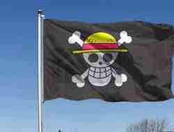 Bendera One Piece dan Dinamika Nasionalisme Generasi Muda Bendera One Piece dan Dinamika Nasionalisme Generasi Muda