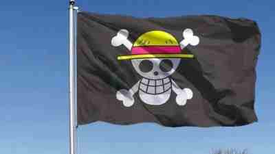 Bendera One Piece dan Dinamika Nasionalisme Generasi Muda Bendera One Piece dan Dinamika Nasionalisme Generasi Muda