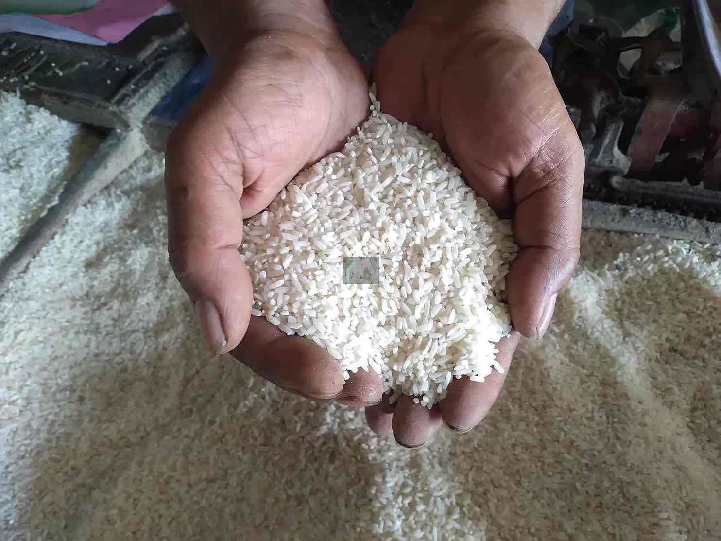 Harga Beras Naik, DKPP Kota Blitar Pastikan Stok Aman Beras
