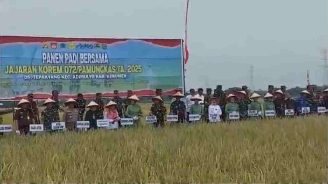 Kodam IV Diponegoro Panen Raya Gabah di Kabupaten Kebumen Hasilkan 1.116 Ton Gabah Kering