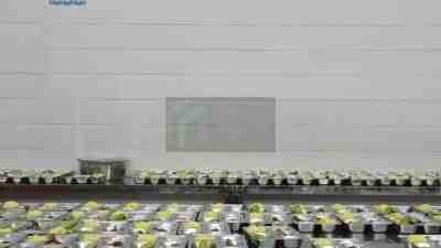 Makan Bergizi Gratis di SPPG Sukosewu Gandusari