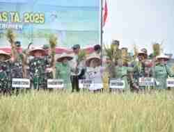 Kodam IV Diponegoro Panen Raya Padi di Kabupaten Kebumen on Frames Kodam IV Diponegoro Panen Raya Padi di Kabupaten Kebumen on Frames