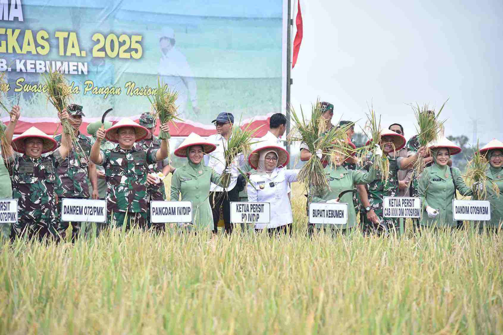 Pangdam IV Diponegoro Mayjen TNI Achiruddin S.E. M.Han Menunjukkan Padi saat Panen Raya Padi di Desa Tepakyang Kecamatan Adimulyo Kabupaten Kebumen Rabu 13082025
