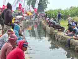 Libur Cuti Bersama, Ribuan Warga Kediri Ikut Lomba Pancing Festival Omah Sawah Berebut 2,6 Ton Ikan Lele Libur Cuti Bersama, Ribuan Warga Kediri Ikut Lomba Pancing Festival Omah Sawah Berebut 2,6 Ton Ikan Lele