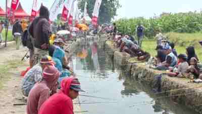 Libur Cuti Bersama, Ribuan Warga Kediri Ikut Lomba Pancing Festival Omah Sawah Berebut 2,6 Ton Ikan Lele