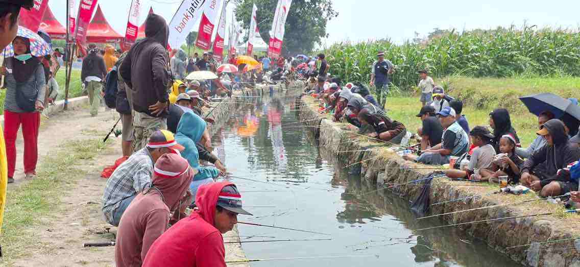 Libur Cuti Bersama, Ribuan Warga Kediri Ikut Lomba Pancing Festival Omah Sawah Berebut 2,6 Ton Ikan Lele Ribuan Warga Kelurahan Burengan Kecamatan Pesantren Kota Kediri ikuti Lomba Pancing
