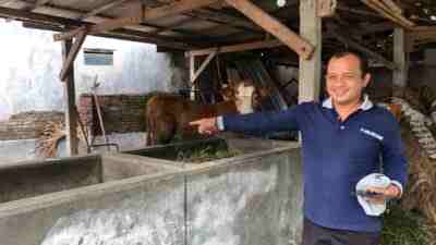 Sapi Milik Sukri Warga Sananwetan Kota Blitar Dicuri Maling