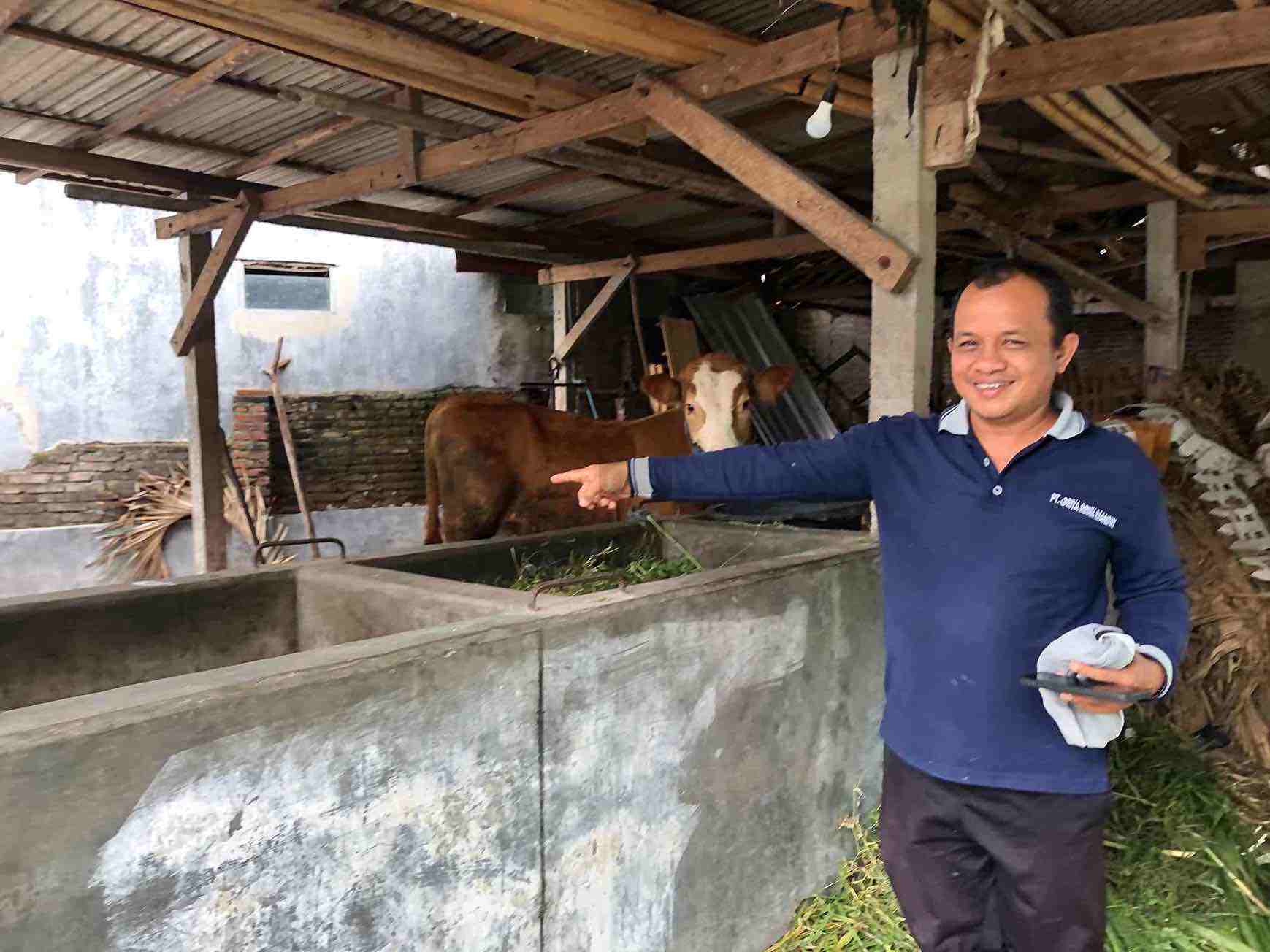 Sapi untuk Kurban Hilang, Padahal Kandang di Tengah Kampung Padat Penduduk Sapi Milik Sukri Warga Sananwetan Kota Blitar Dicuri Maling