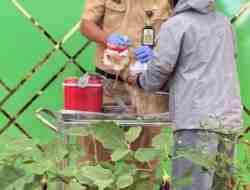 Warga Kota Blitar Berbondong-bondong Daftarkan Hewan Peliharaan Vaksinasi Rabies Warga Kota Blitar Berbondong-bondong Daftarkan Hewan Peliharaan Vaksinasi Rabies