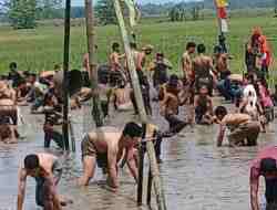 Warga Desa Besole, Purworejo, Kompak Meriahkan HUT RI ke-80 dengan Lomba Unik di Persawahan