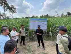 Hari Tani Nasional , PG Ngadirejo Komitmen Dorong Produktivitas Petani Tebu di Kediri