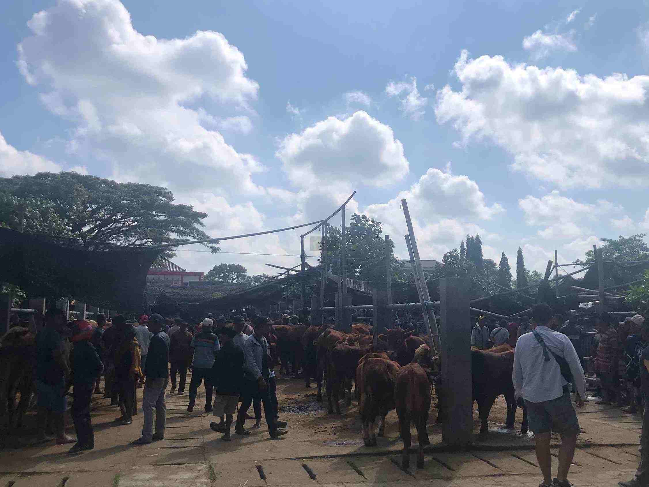 Revitalisasi Pasar Dimoro Tuntas, Pembangunan Atap Jadi Tahap Lanjutan Pasar Hewan Dimoro Kota Blitar Atapnya Terbuka