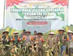 Polres Blitar Gelar Panen Raya Jagung Serentak Kuartal III, untuk Ketahanan Pangan Polres Blitar Gelar Panen Raya Jagung Serentak Kuartal III, untuk Ketahanan Pangan