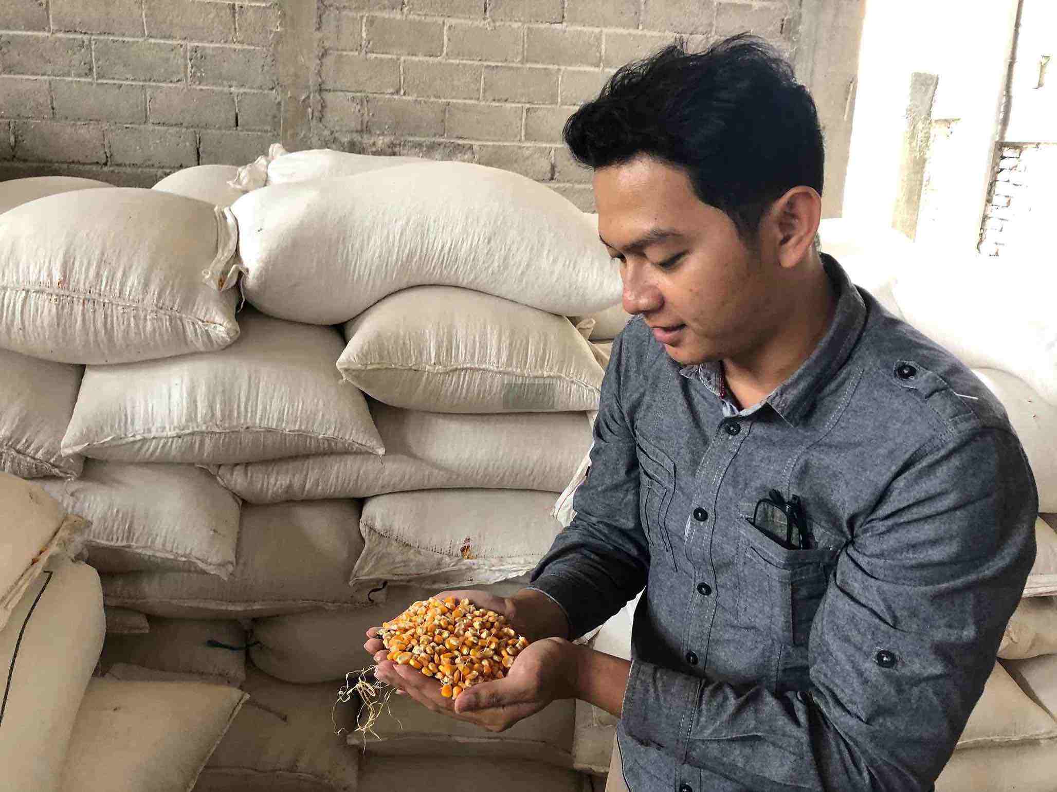 99 Ton Jagung SPHP Diserap Peternak di Kota Blitar Bulog Keluarkan Jagung SPHP di Kota Blitar