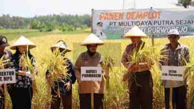 Pemkab Purworejo Dorong Petani Terapkan Teknologi Usaha Tani Modern Pemkab Purworejo Dorong Petani Terapkan Teknologi Usaha Tani Modern