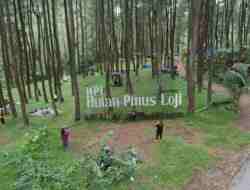Berwisata ke Hutan Pinus Loji dan Perkebunan Teh Serah Kencong Tawarkan Udara Sejuk untuk Refres Otak Berwisata ke Hutan Pinus Loji dan Perkebunan Teh Serah Kencong Tawarkan Udara Sejuk untuk Refres Otak