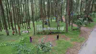 Hutan PInus Loji