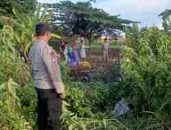 Penemuan Sesosok Mayat Gemparkan Warga Sidodadi Penemuan Sesosok Mayat Gemparkan Warga Sidodadi