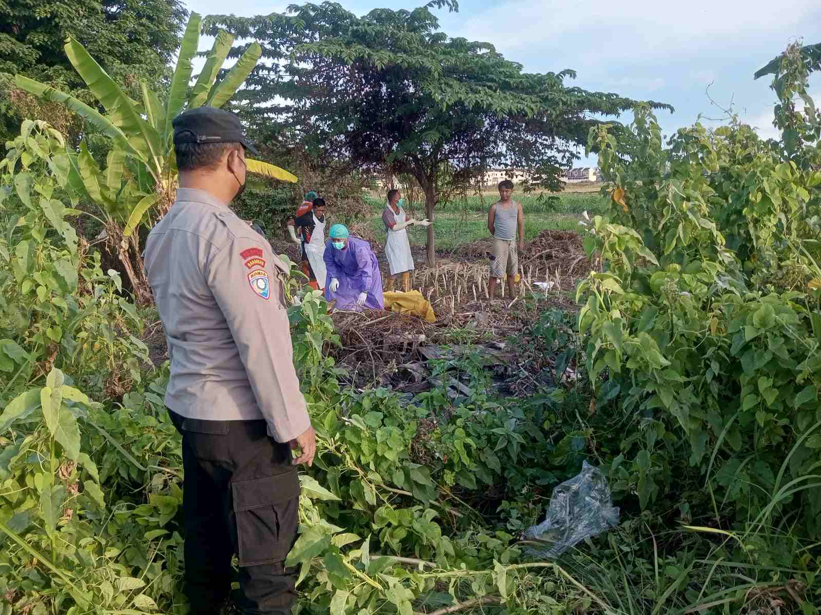 Penemuan Sesosok Mayat Gemparkan Warga Sidodadi IMG 20251013 WA0002