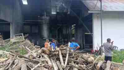Pabrik Triplek di Blitar Terbakar akibat Oli Tumpah dari Mesin Boiler Kebakaran Pabrik Tripek di Desa Sideorejo Ponggok Blitar