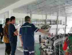 Timpora Imigrasi Blitar Selain Operasi WNA di Greenfields juga Pantau Sapi “Asing”