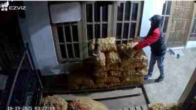 Viral, Maling Kentang Terekam CCTV di Kota Blitar, Pemilik Merugi Rp1,4 Juta Viral, Maling Kentang Terekam CCTV di Kota Blitar, Pemilik Merugi Rp1,4 Juta