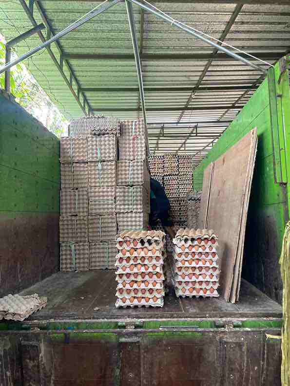 Usai Sebut Wakilnya “Pembantu”, Ibin Sebut Dirinya Bubu dan Sales Pemkot Blitar Mengirim Telur ke Kota Depok