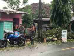 Warga Panik, Hujan Deras Disertai Angin Kencang, Tumbangkan Popohonan di Kota Blitar