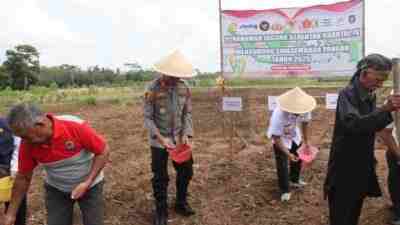 Polres Purworejo Tanam Jagung Serentak untuk Ketahanan Pangan Polres Purworejo Tanam Jagung Serentak untuk Ketahanan Pangan