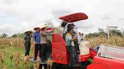Polres Purworejo Panen Raya Jagung