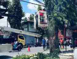 BPBD Kota Blitar Minta Warga Waspada Angin Kencang