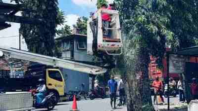 BPBD Memotong Pohon di Kota Blitar untuk Menghindari Puting Beliung