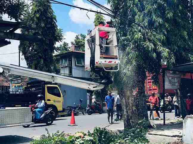 BPBD Memotong Pohon di Kota Blitar untuk Menghindari Puting Beliung