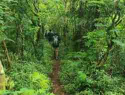 Jalur Sumber Lumpang Menawarkan Petualangan Baru Menjelajahi Gunung Penanggungan