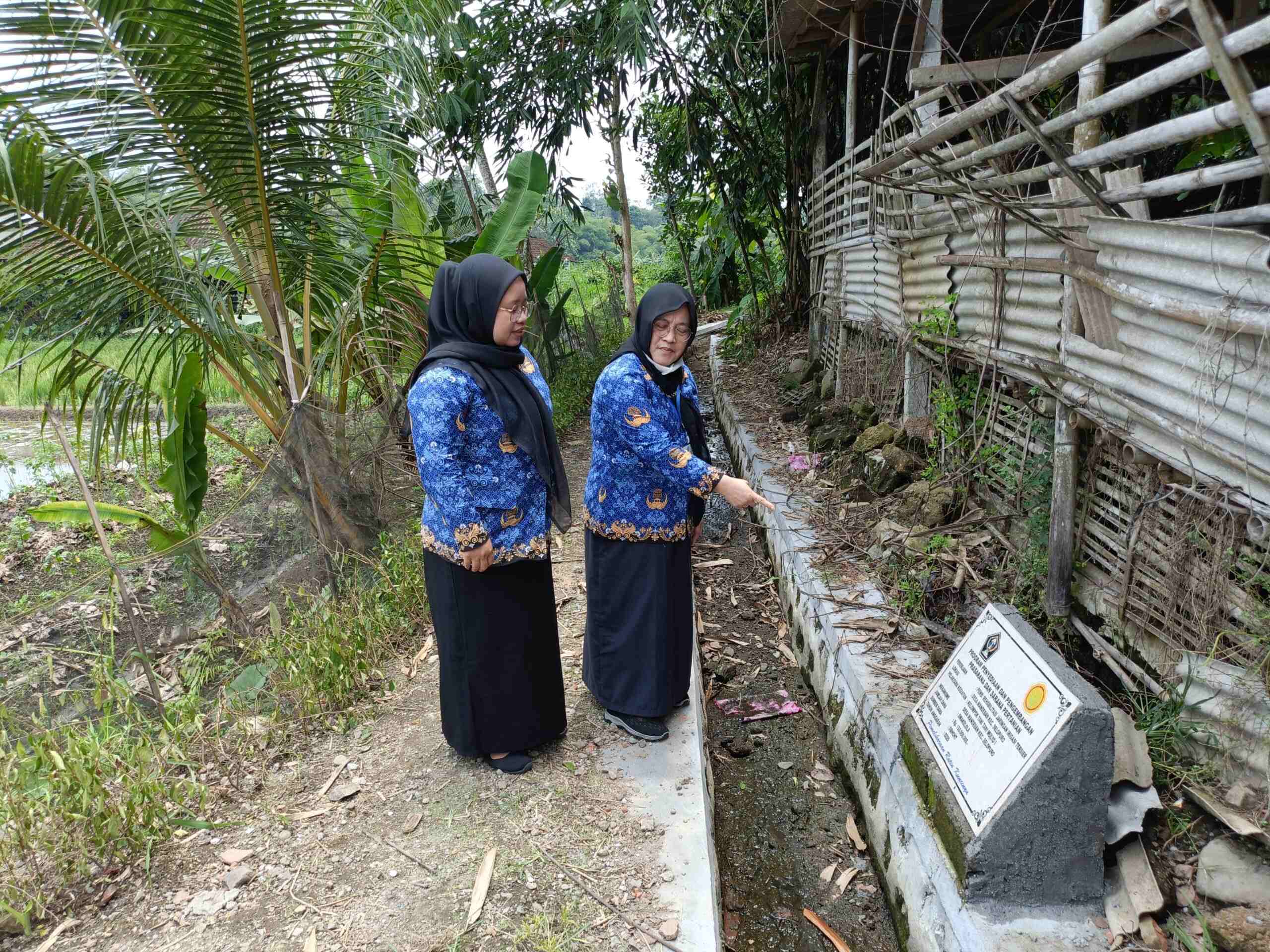 IMG20251110114732 scaled