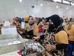 BLT DBHCHT Tahap 5 untuk Karyawan Pabrik Rokok Segera Dicairkan